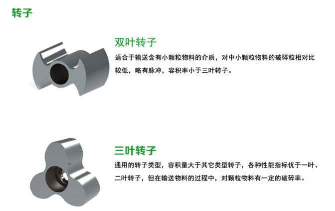 LX卫生级转子泵