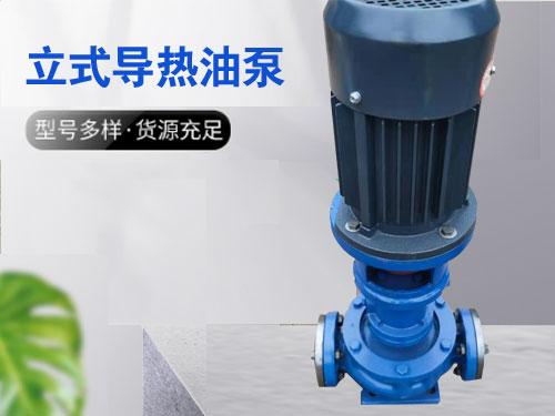 立式导热油泵