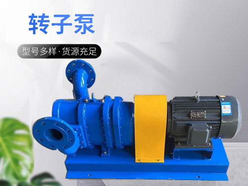 GS/DR系列凸轮转子泵