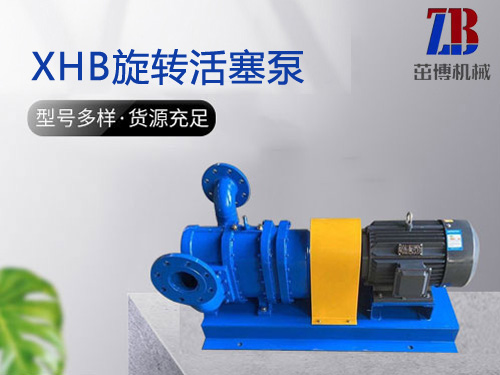 XHB旋转活塞泵