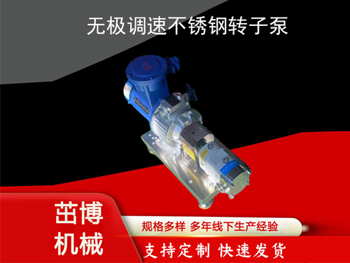 无极调速不锈钢转子泵