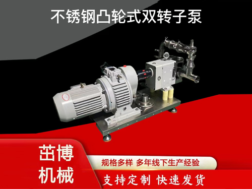 不锈钢凸轮式双转子泵