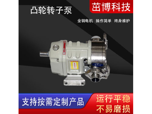 RT系列转子泵