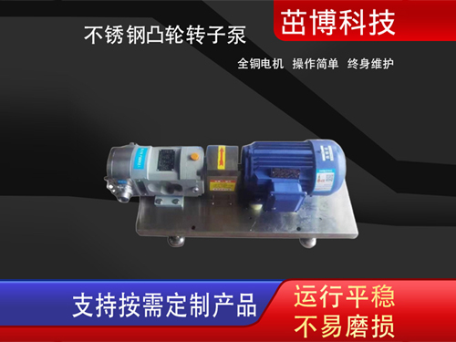 不锈钢凸轮转子泵2