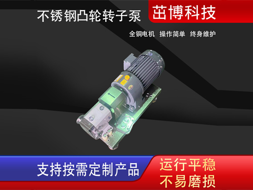 不锈钢凸轮转子泵1
