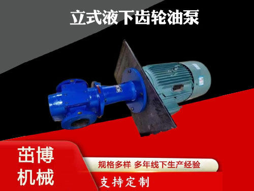 LYB液下齿轮泵