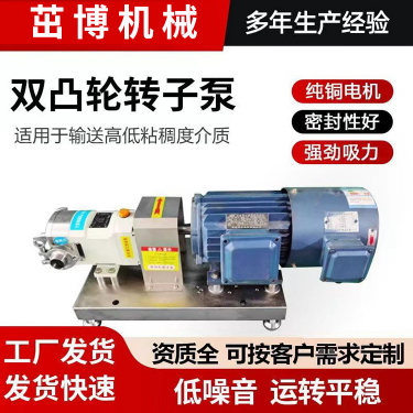 不锈钢级别旋转转子泵