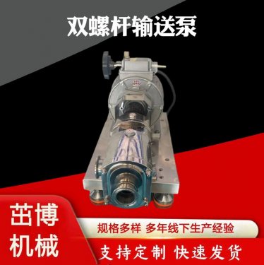 不锈钢双螺杆输送泵